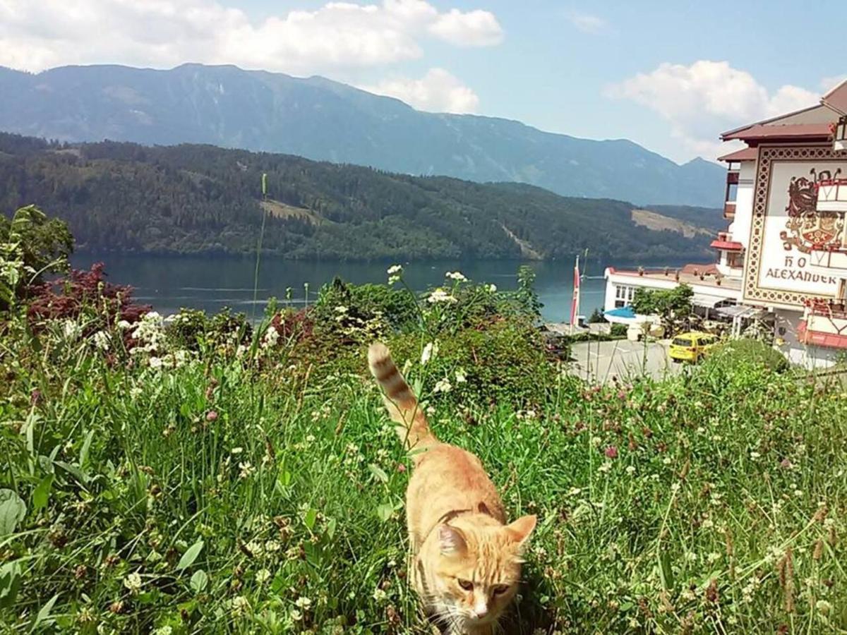 Haus Kraller-Urlaub Mit Seeblick Daire Millstatt Dış mekan fotoğraf