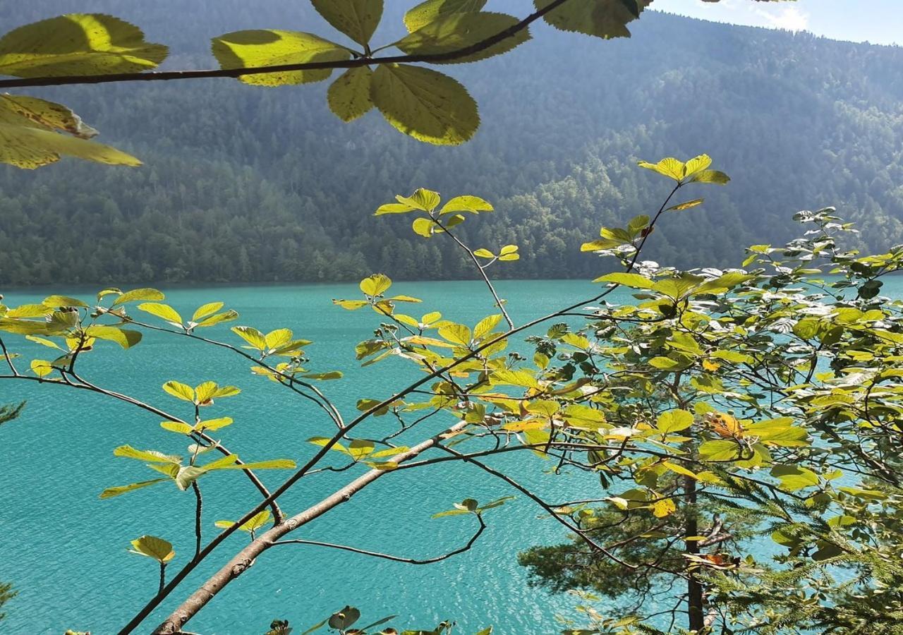 Haus Kraller-Urlaub Mit Seeblick Daire Millstatt Dış mekan fotoğraf