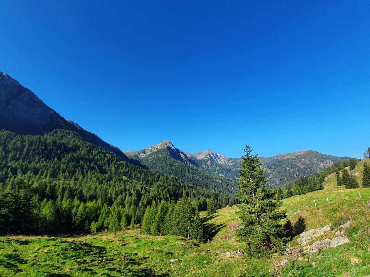 Haus Kraller-Urlaub Mit Seeblick Daire Millstatt Dış mekan fotoğraf